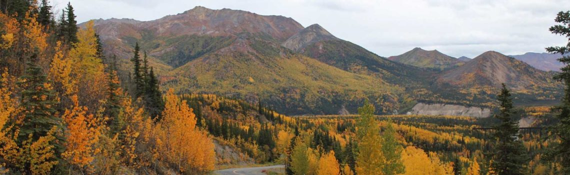 Denali-Park